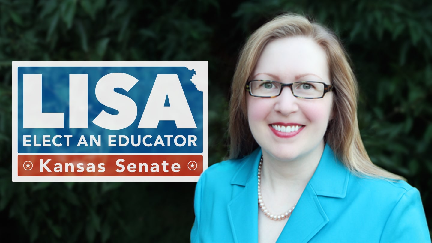 Lisa Johnston for Kansas Senate design system